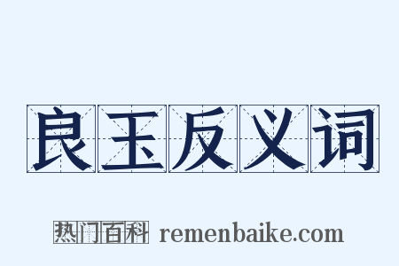 良玉反义词是什么意思的图片
